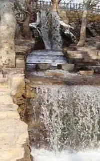 سفره یک روزه بوژان نیشابور