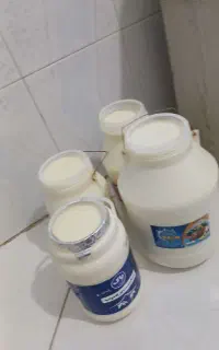 لبنیات سنتی