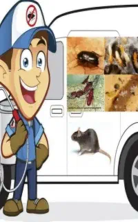 سمپاشی موریانه گال بید سم پاشی ساس.سوسک