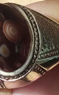 سلیمانی سرخ لامه