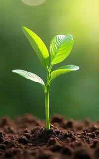 مسیر پاکی