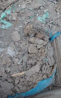کود مرغ یازل
