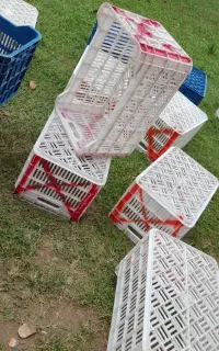 سبد ۲۰کیلویی