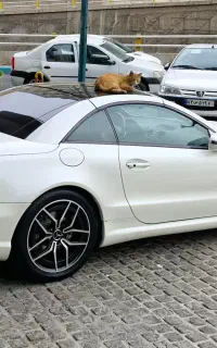 SL 350