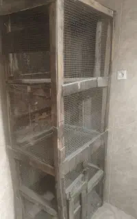 قفس چوبی