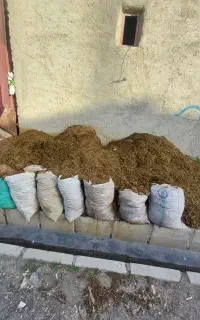 کود گوسفندی