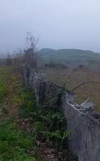 خونه اجاره ای