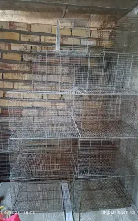 قفس پرنده