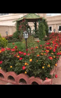 استخدام سرایدار آقا مجرد (اتباع یا ایرانی)