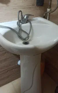 سرشور ایستاده