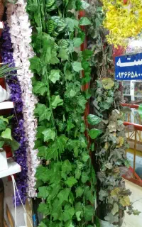 انواع ریسهای برگ تزیینی