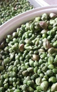 کاپاریس  یا کپر خام