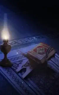 سید هستم