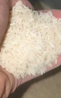 برنج