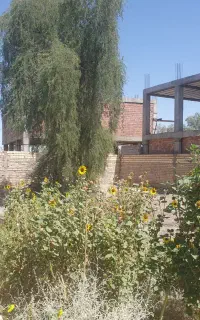 330 متر زمین در سلمان ۲ پارسا ۱