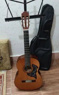 گیتار به همراه کیف