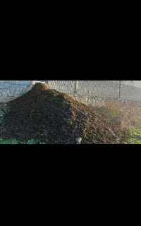 کود گاوی. تمیز