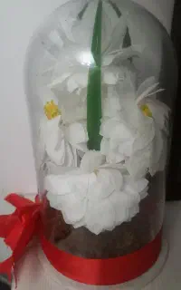 گل مصنوعی با قاب شیشه ای