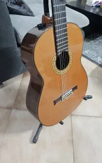 گیتار استیو / esteve guitar