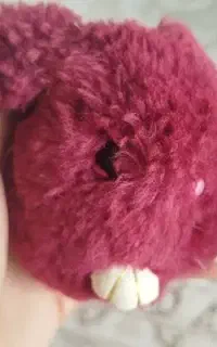 عروسک خرگوش