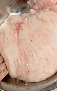 دنبه گوسفندی