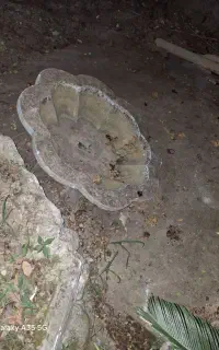 حوض آب