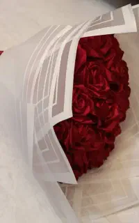گل روبانی