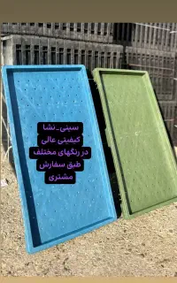 فروش سینی نشا برنج زیر قیمت کل ایران