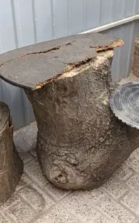 نیمکت چوب تنه درخت