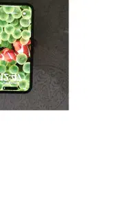 ایفون 15 پرومکس