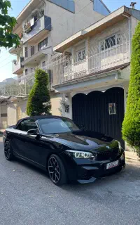 Bmw 230i