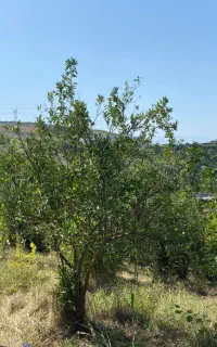 طراحی و اجرای دکوراسیون داخلی(کناف، باکس تیوی و.)