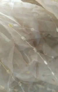 پرده