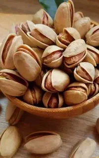 پسته ارگانیک با بهترین کیفیت
