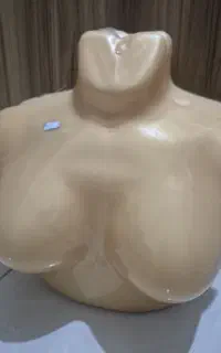 لباس زیر و آلبوم لباس زیر و مانکن نیم تنه