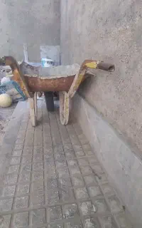 یک عدد فرعون فورشی هست