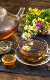پاکسازی کامل بدن از سموم وبیماریها