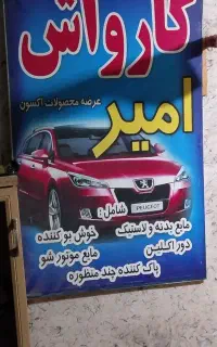 نیروی کار برای کارواش