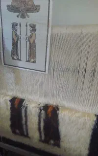 فروش دارقالی