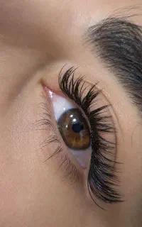 مدل مژه برای عکاسی از چشم