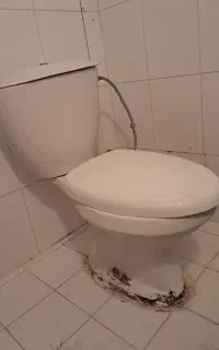 توالت فرنگی