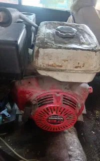 کارواش و سم پاش