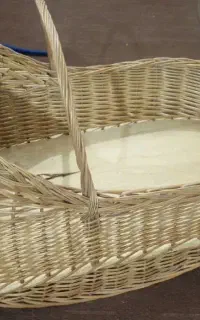 کریر نوزاد حصیری