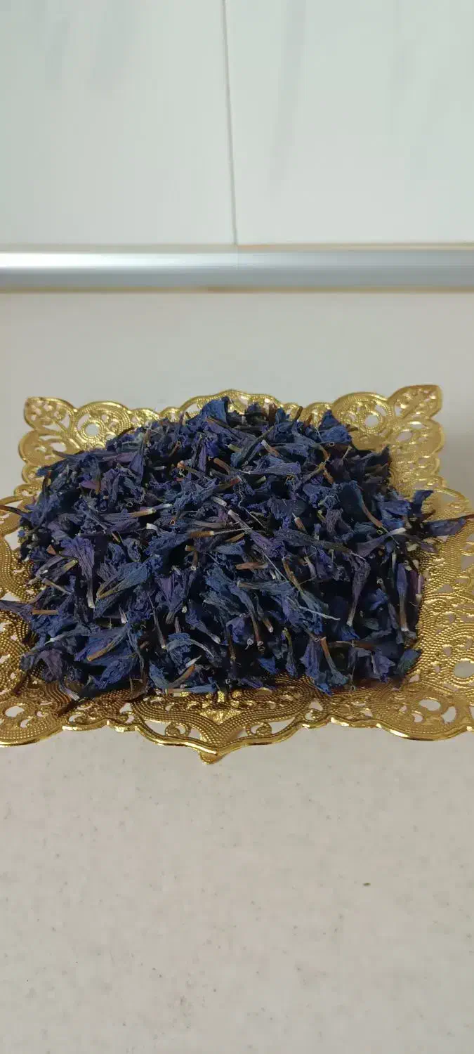 گل گاوزبان|خوردنی و آشامیدنی|قم, باغ شریفی|دیوار