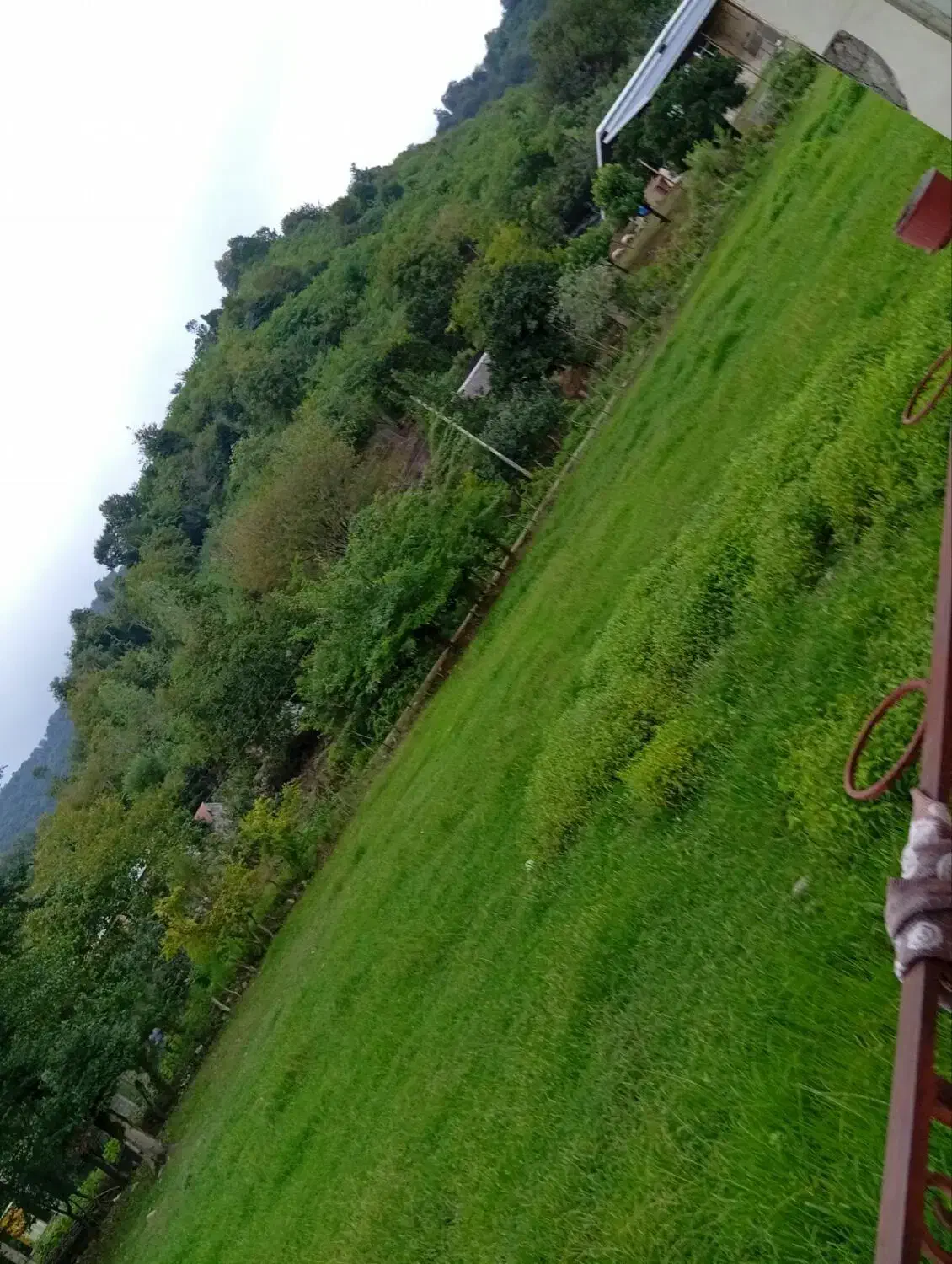 فروش ۱۰۰۰مترزمین|فروش زمین و ملک کلنگی|ماکلوان, |دیوار