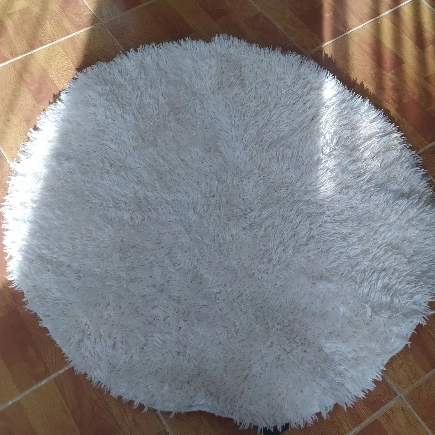 پرز بلند دایره|فرش|خوی, |دیوار