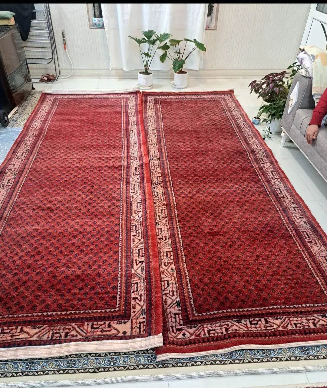 فرش کناره دستبافت جفت|فرش|اراک, |دیوار