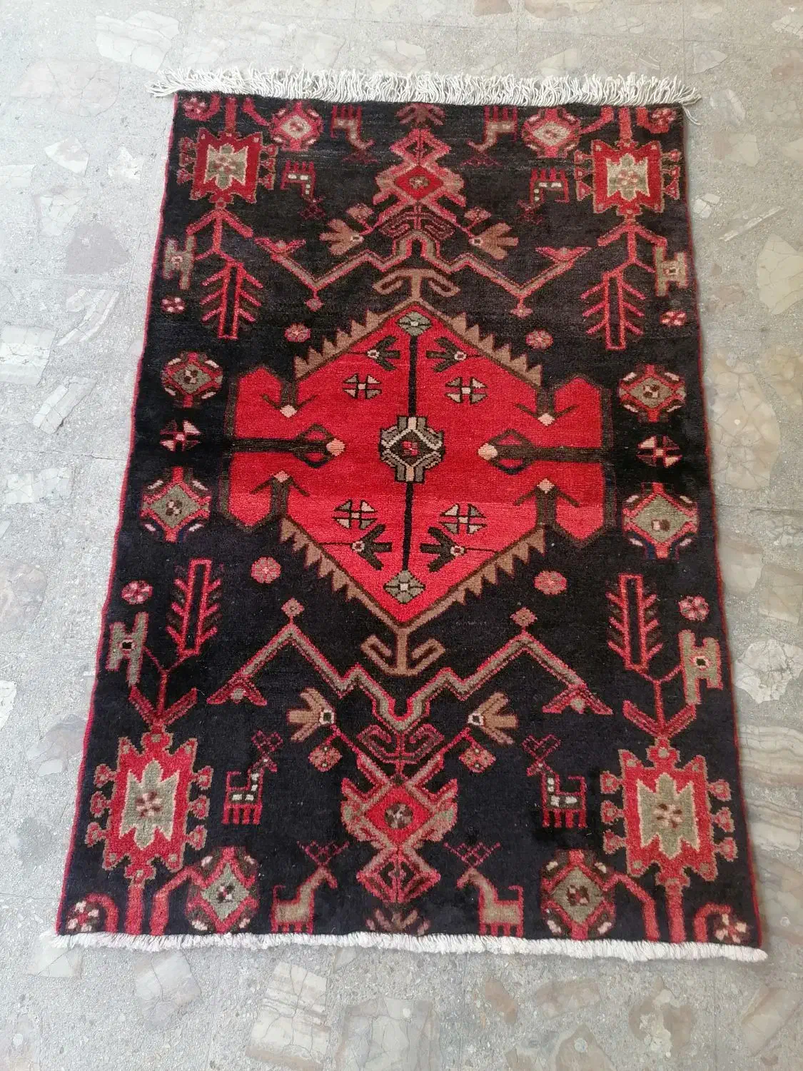 زرع و نیم همدان سالم|فرش|تهران, صادقیه|دیوار