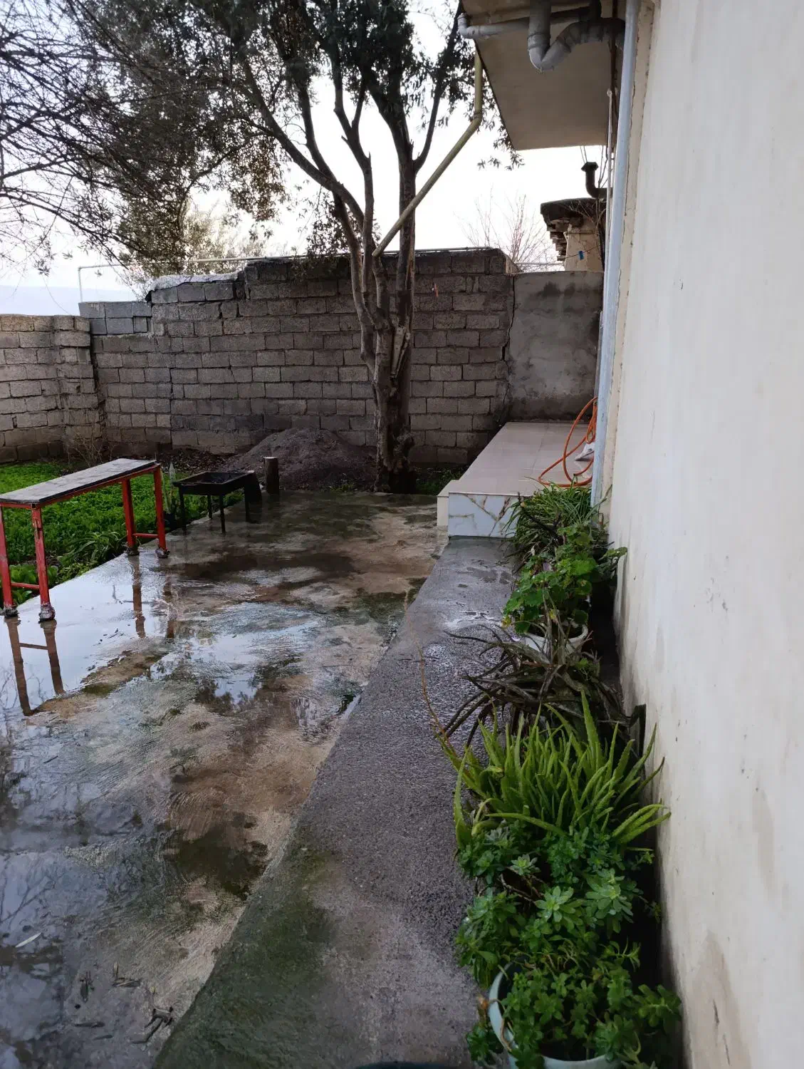 اجاره سوییت اجاره ای|اجارهٔ کوتاه‌مدت آپارتمان و سوئیت|رستم‌آباد, |دیوار