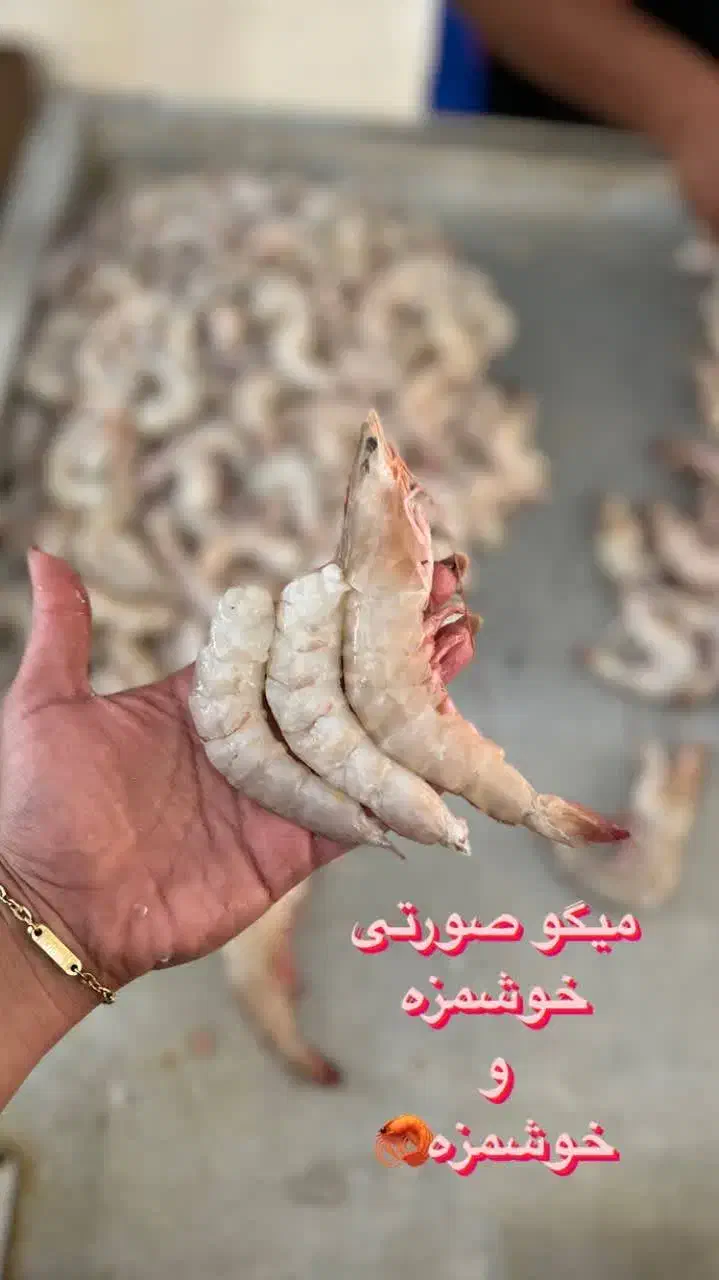 فروش انواع ماهی و میگو عمده و جزئی|عمده‌فروشی|سیاخ دارنگون, |دیوار